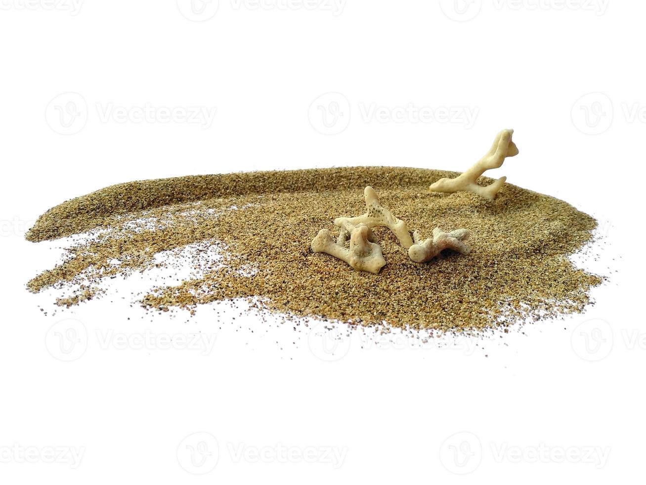 Shells and pearls in the sand on white background photo