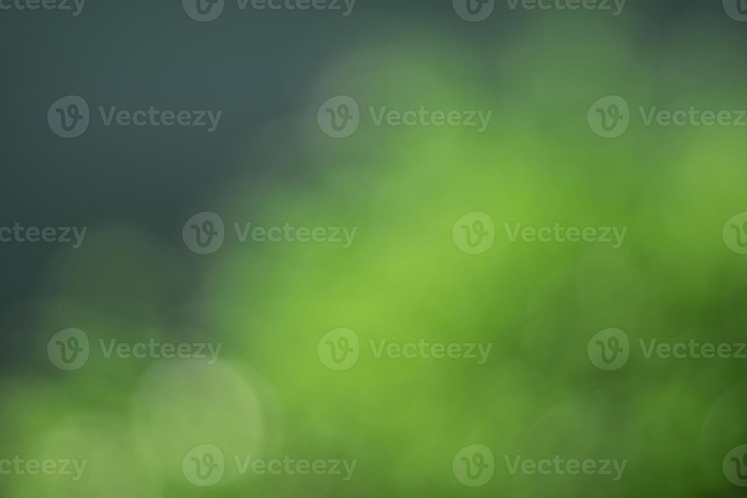Natural outdoors bokeh background in green and yellow tones, Blurred green tree leaf background with bokeh photo