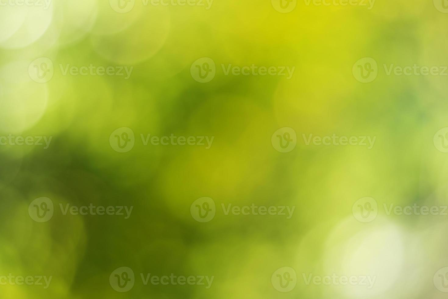 Natural outdoors bokeh background in green and yellow tones, Blurred green tree leaf background with bokeh photo