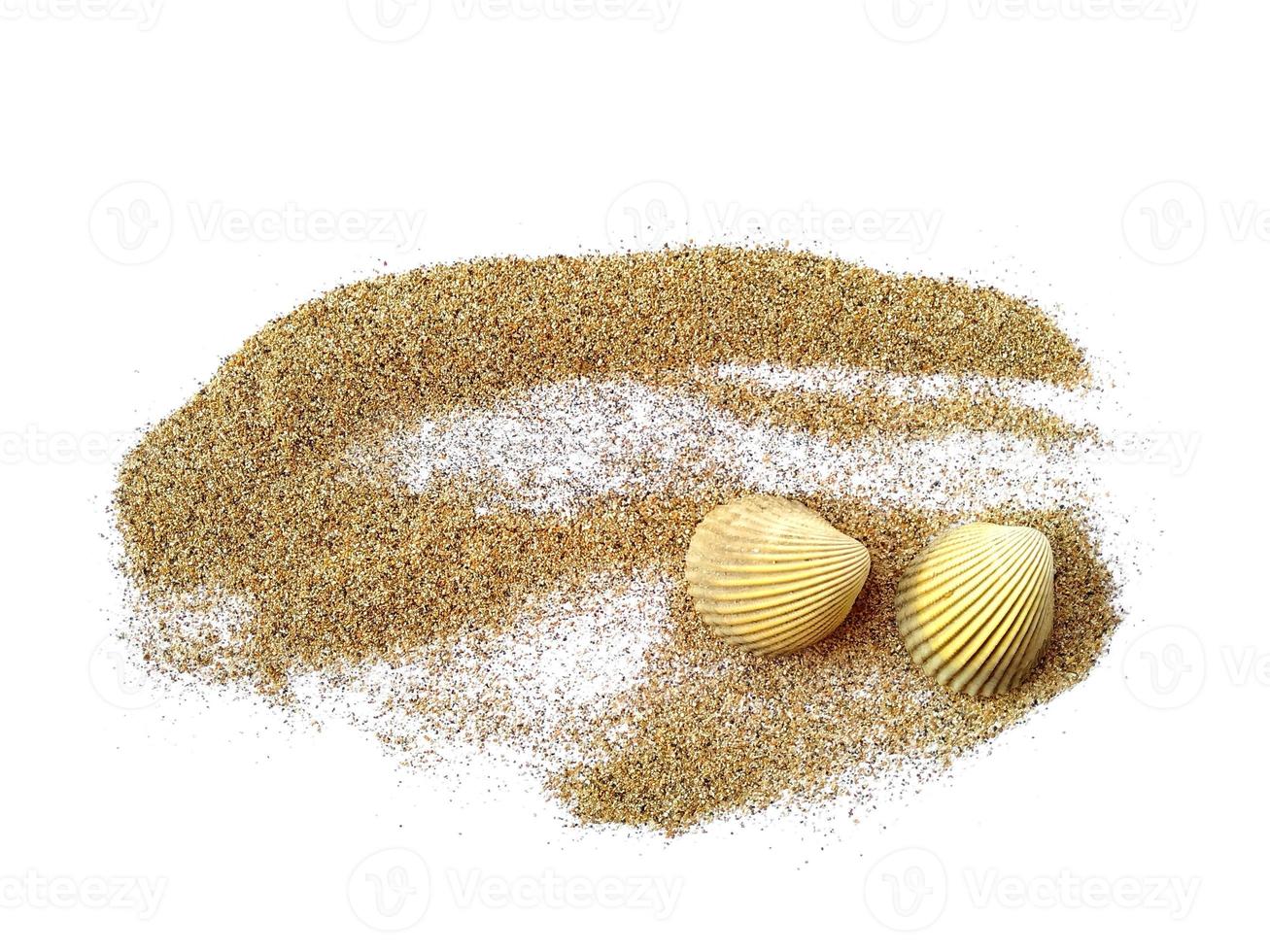 Sea shells in sand pile isolated on white background photo