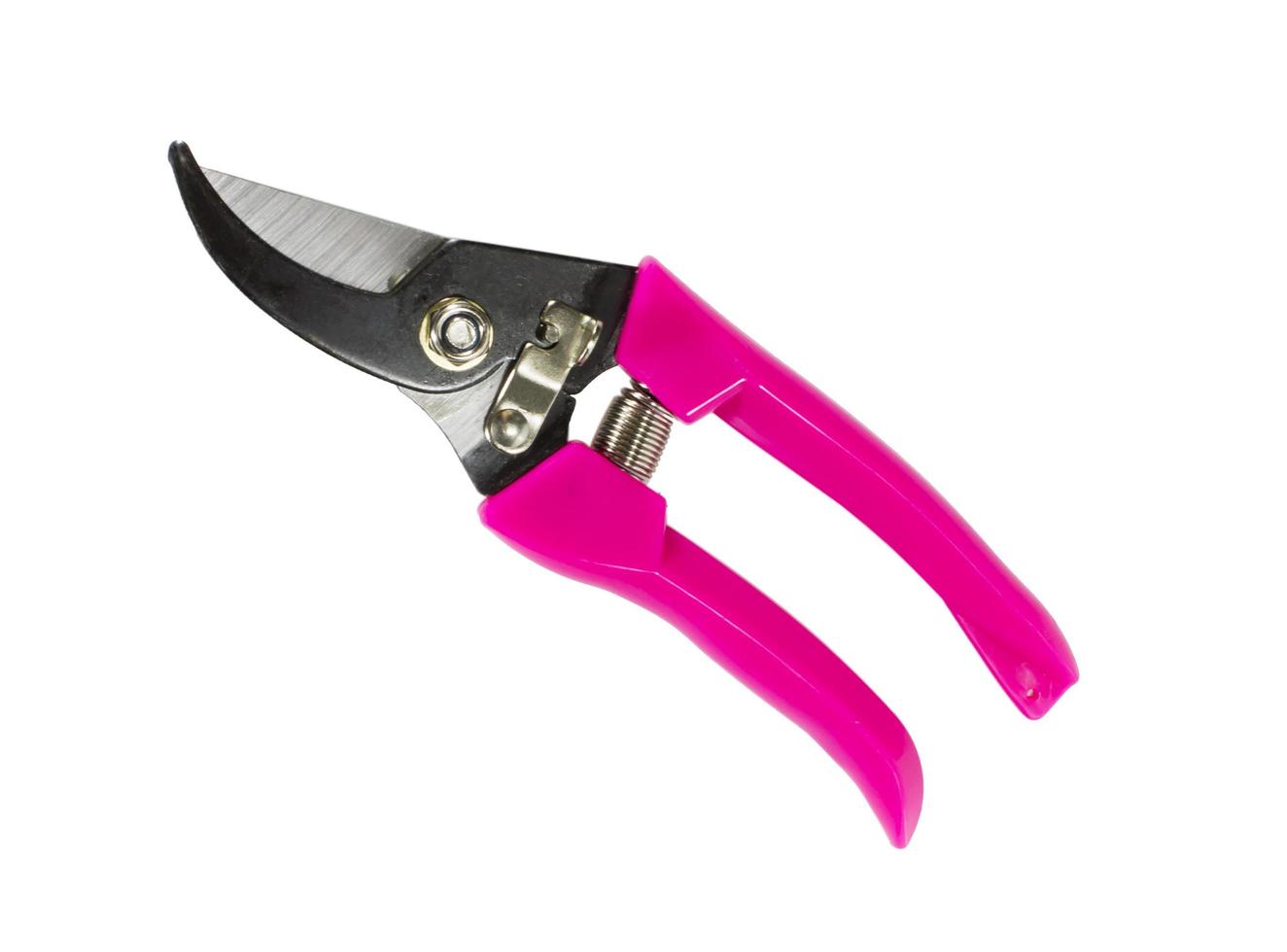 pink pruning shears isolated on white background photo