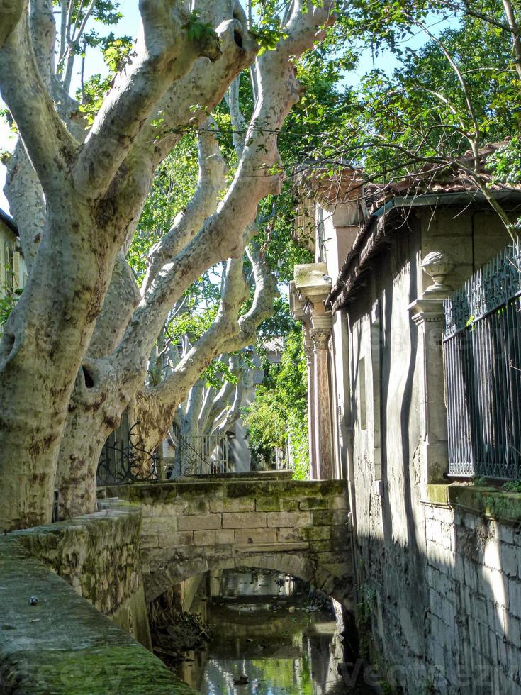 Vertical shot of a water canal through old buildings and trees photo