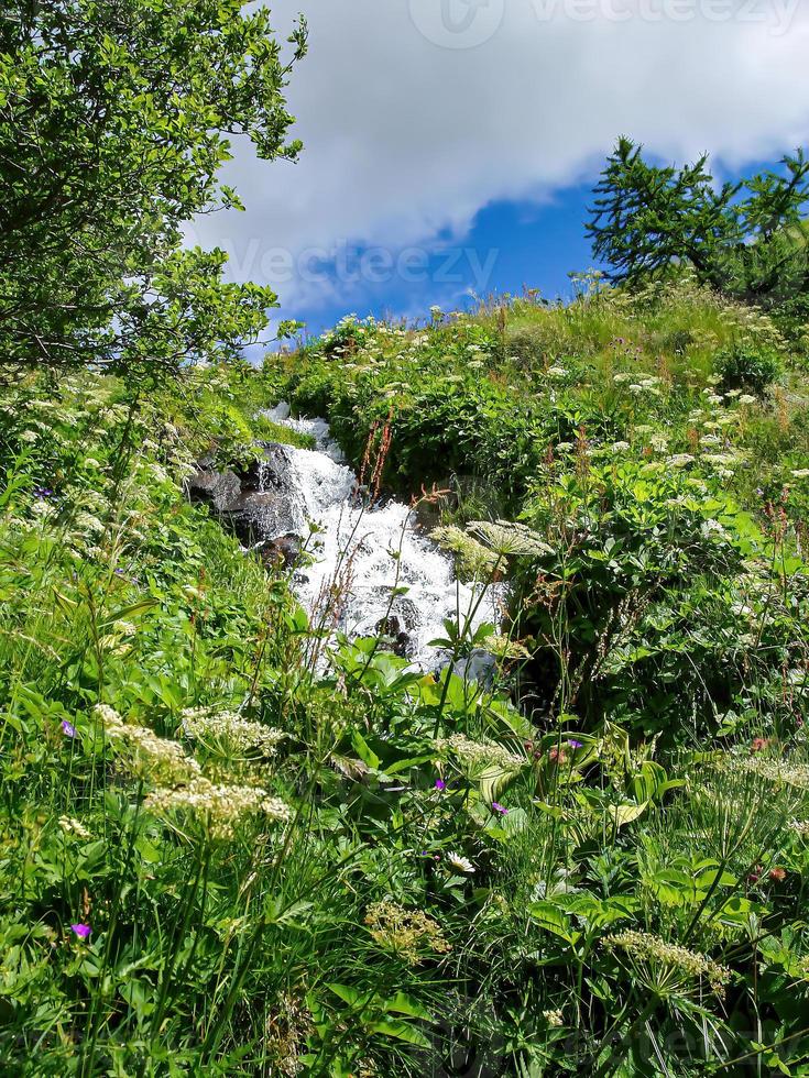 Beautiful summer landscape with trees and mountains. photo