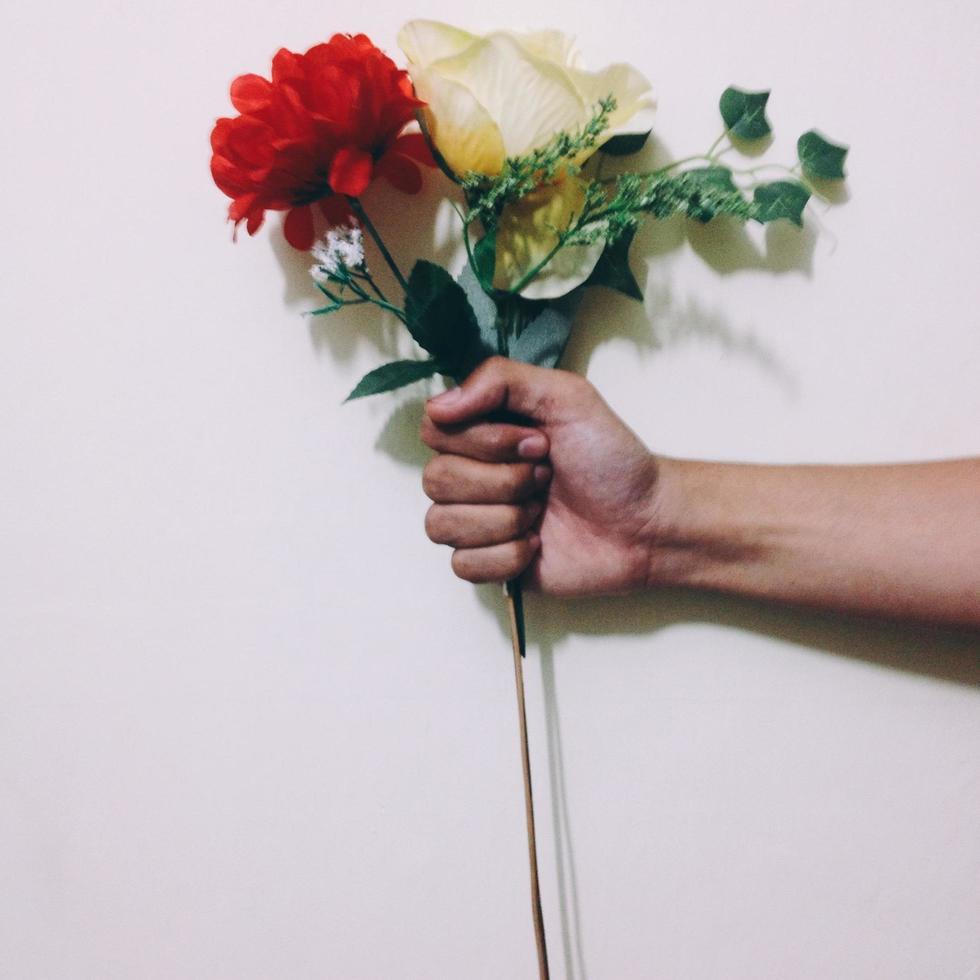 Hand holding flower photo