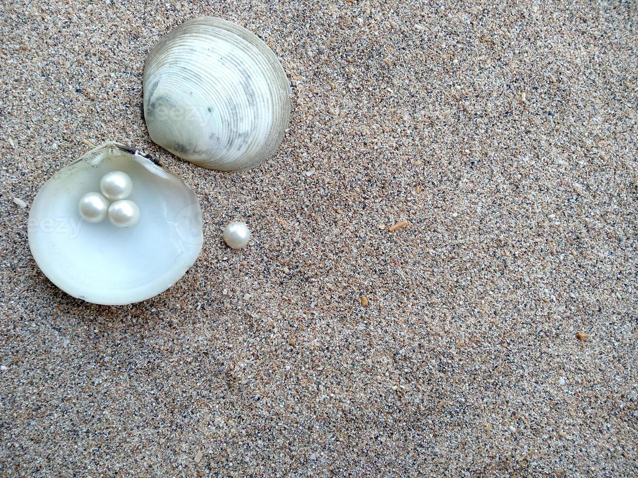 Shell with a pearl on a beach sand photo