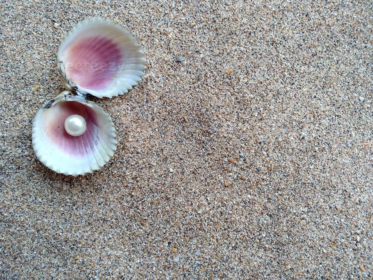 Shell with a pearl on a beach sand photo