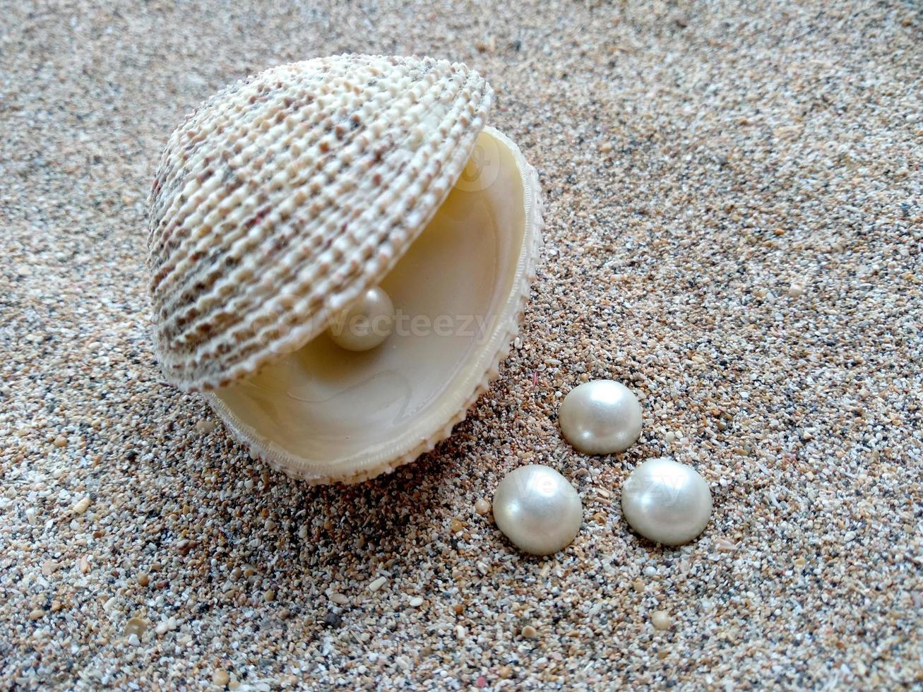 Sea shell with a pearl in the sand photo
