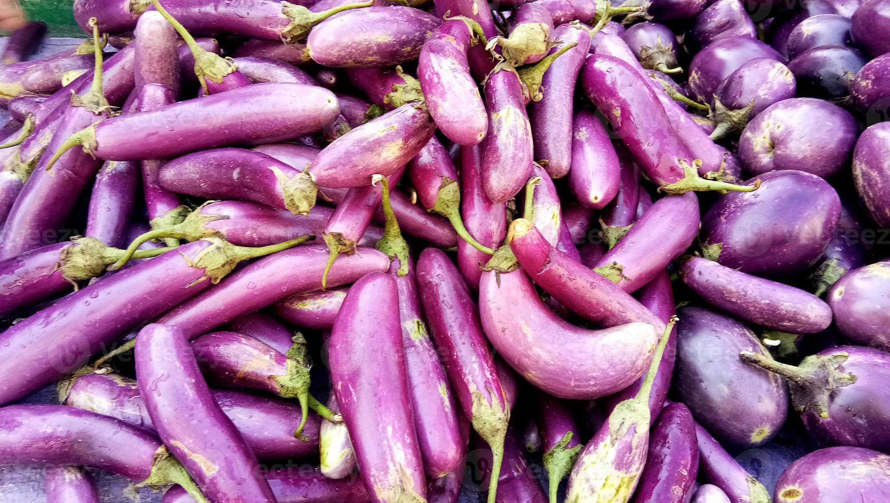 Long fresh organic raw purple brinjal or eggplant or aubergine in market. photo