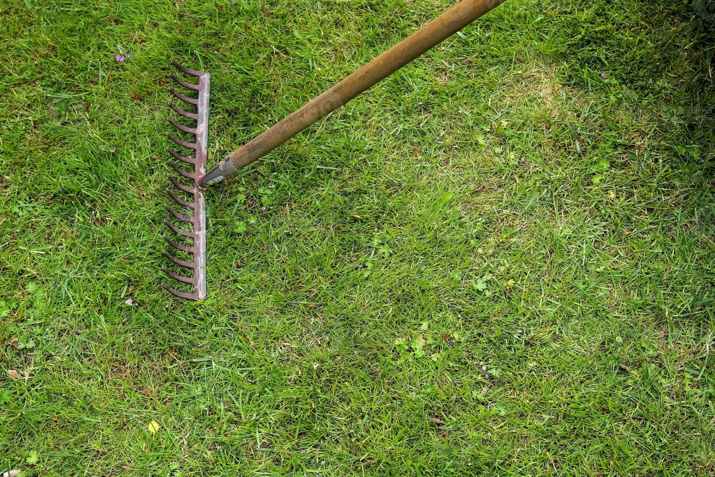 Gardening equipment on grass with empty space photo