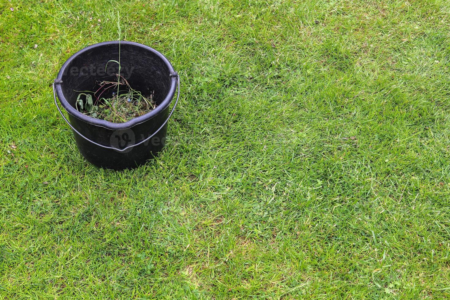 Gardening equipment on grass with empty space photo