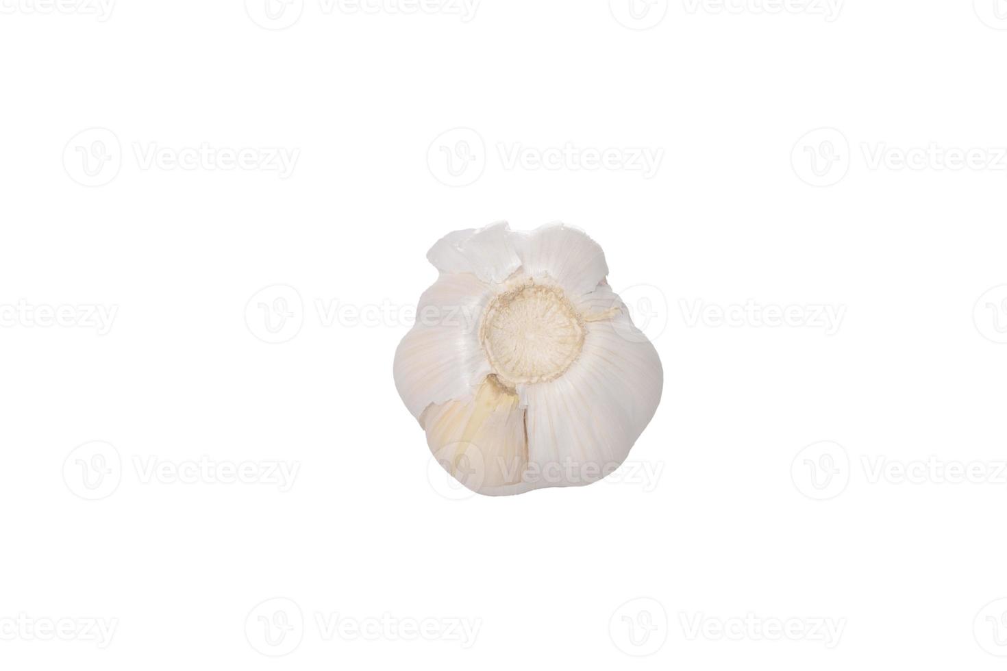 Garlic isolated on white background. Garlic with leaf photo