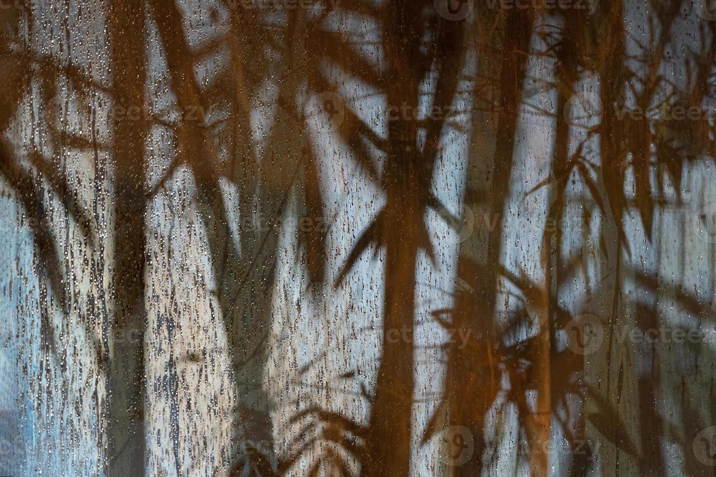 Bamboo shadow abstract on the frosted glass in the raining peroid at the night with spotlight from outside. This image  look fresh cool weather and mystery or horror feeling in the same time. photo
