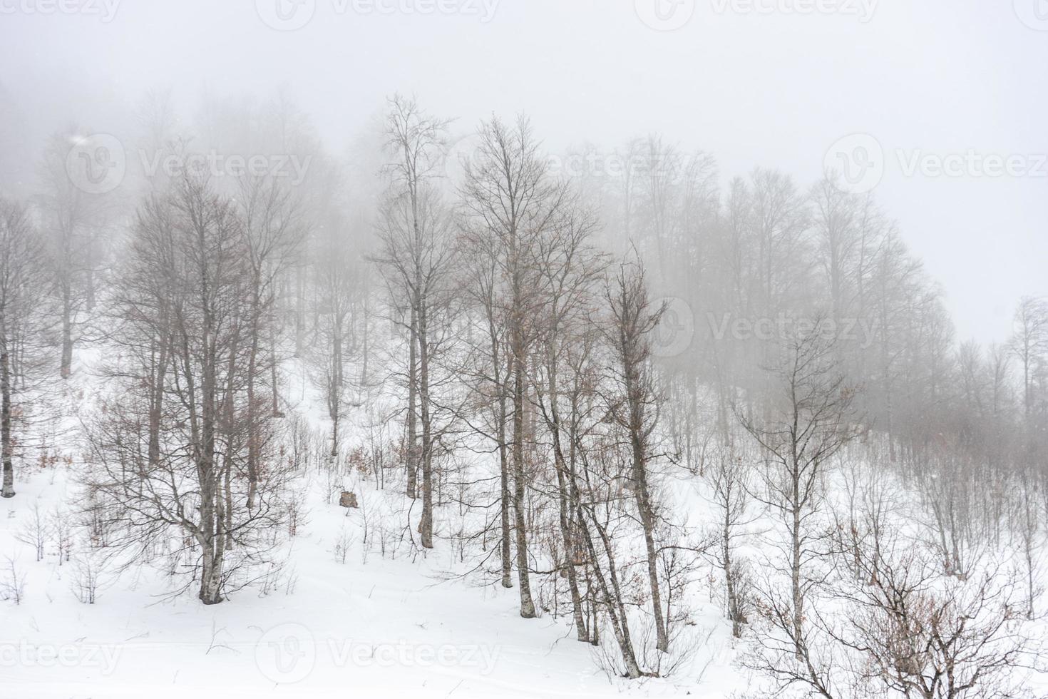 Covered with snow Caucasus mountain photo