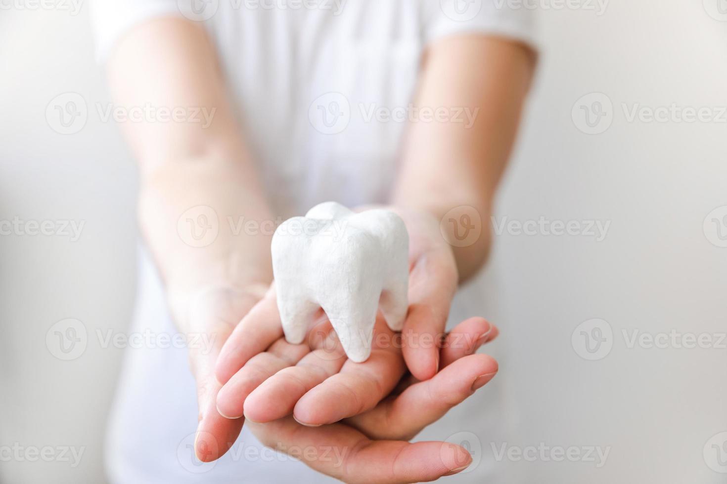 Health dental care concept. Woman hand holding white healthy tooth model isolated on white background. Teeth whitening, dental oral hygiene, teeth restoration, dentist day. photo