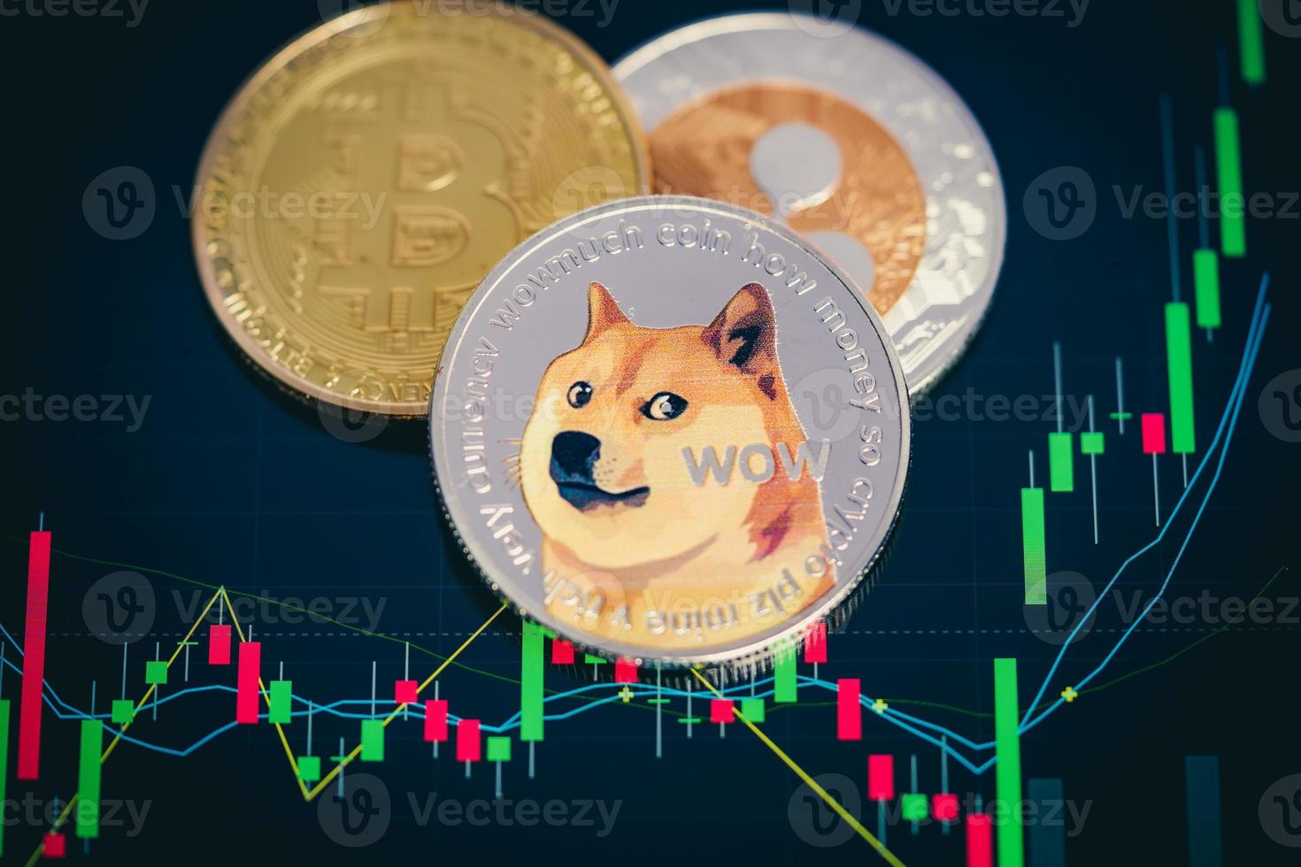 Dogecoin cryptocurrency silver symbol and stock chart candlestick on tablets. with Capital Gain, Fundamental. photo