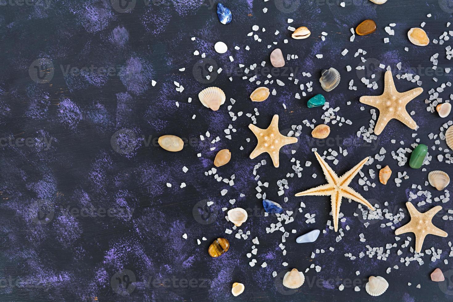 Seashell and starfish on dark background. Top view photo