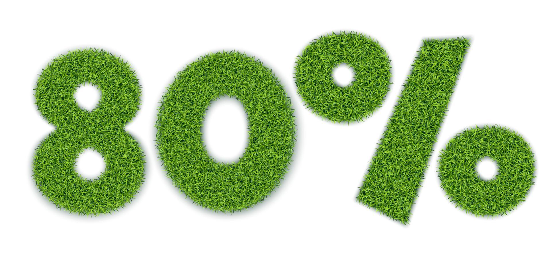 80 percent shapes with garden grass texture. Seasonal sale. Banner for advertising. 3D realistic style. Separate on a white background. Vector. vector