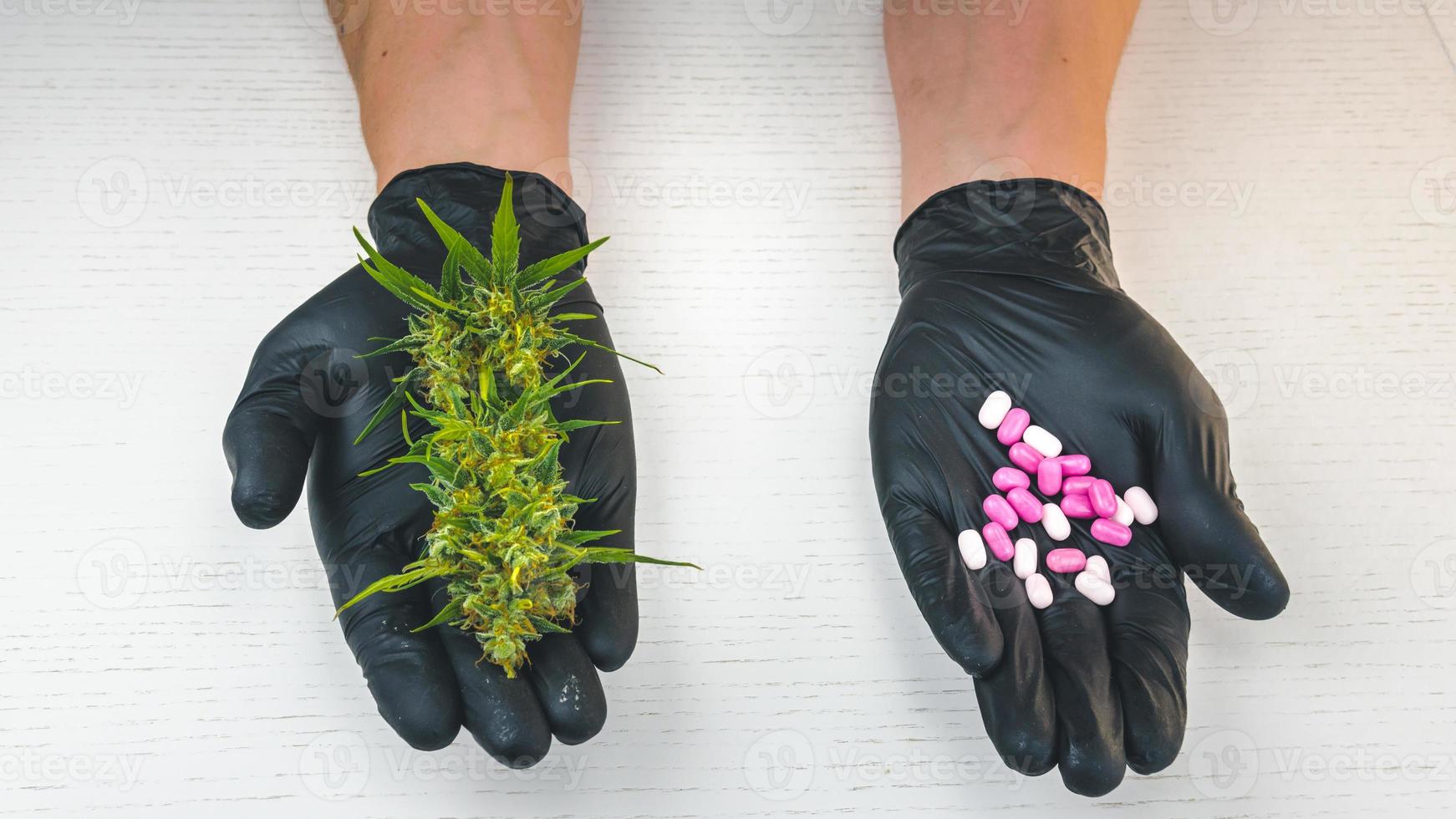 The person holds in his hand medical marijuana buds and pills. photo