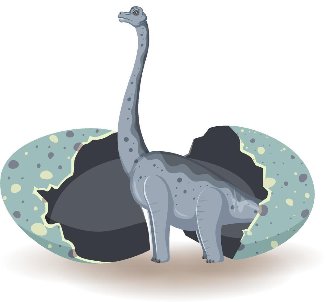 Brachiosaurus hatching from egg vector