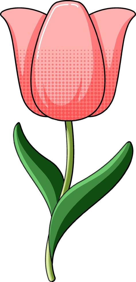 Tulip flower in red color vector
