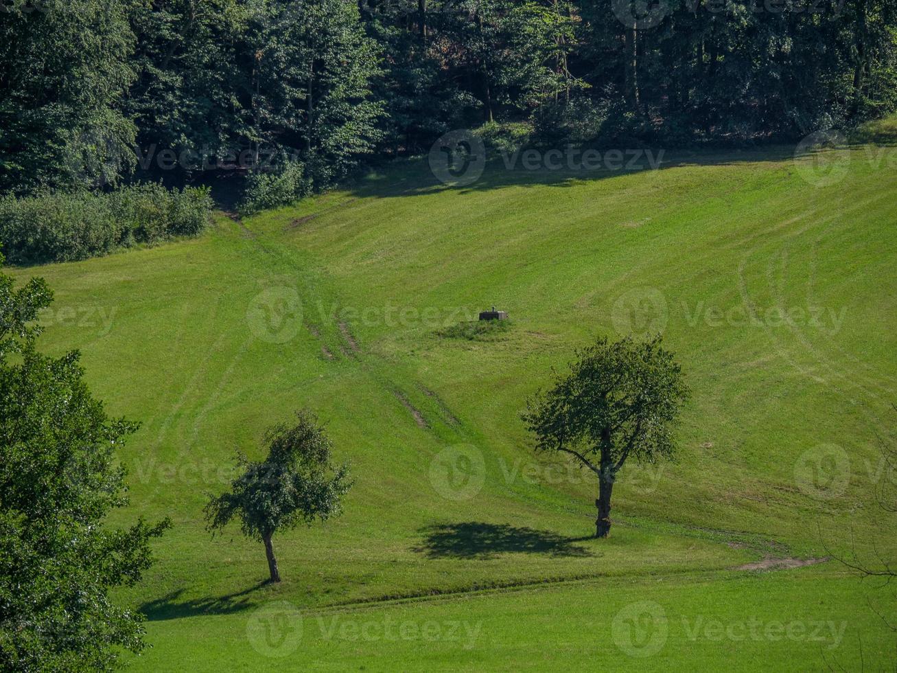 At the Danube river in Austria photo