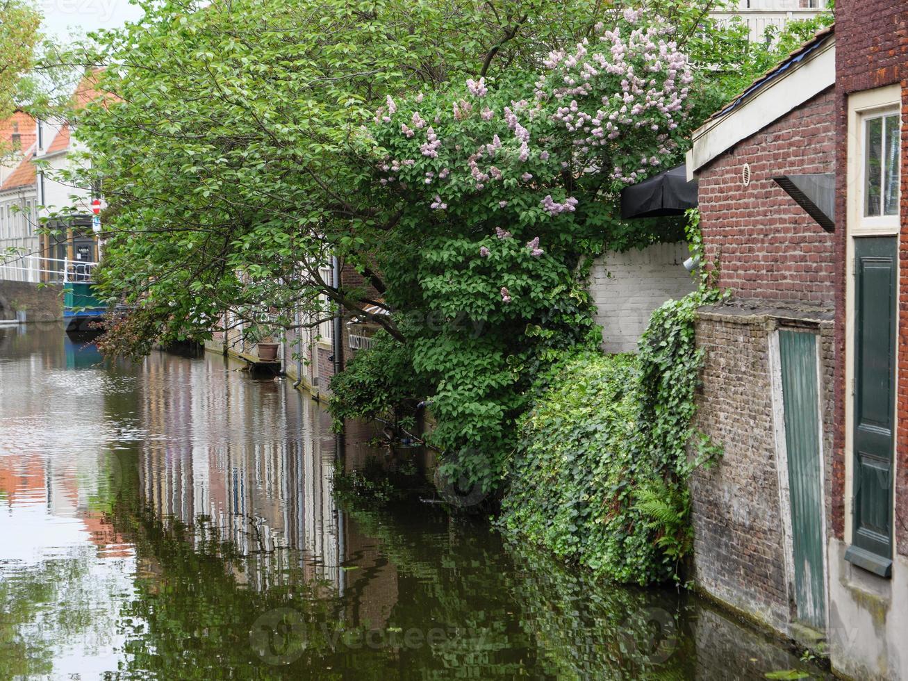 Delft City in the netherlands photo