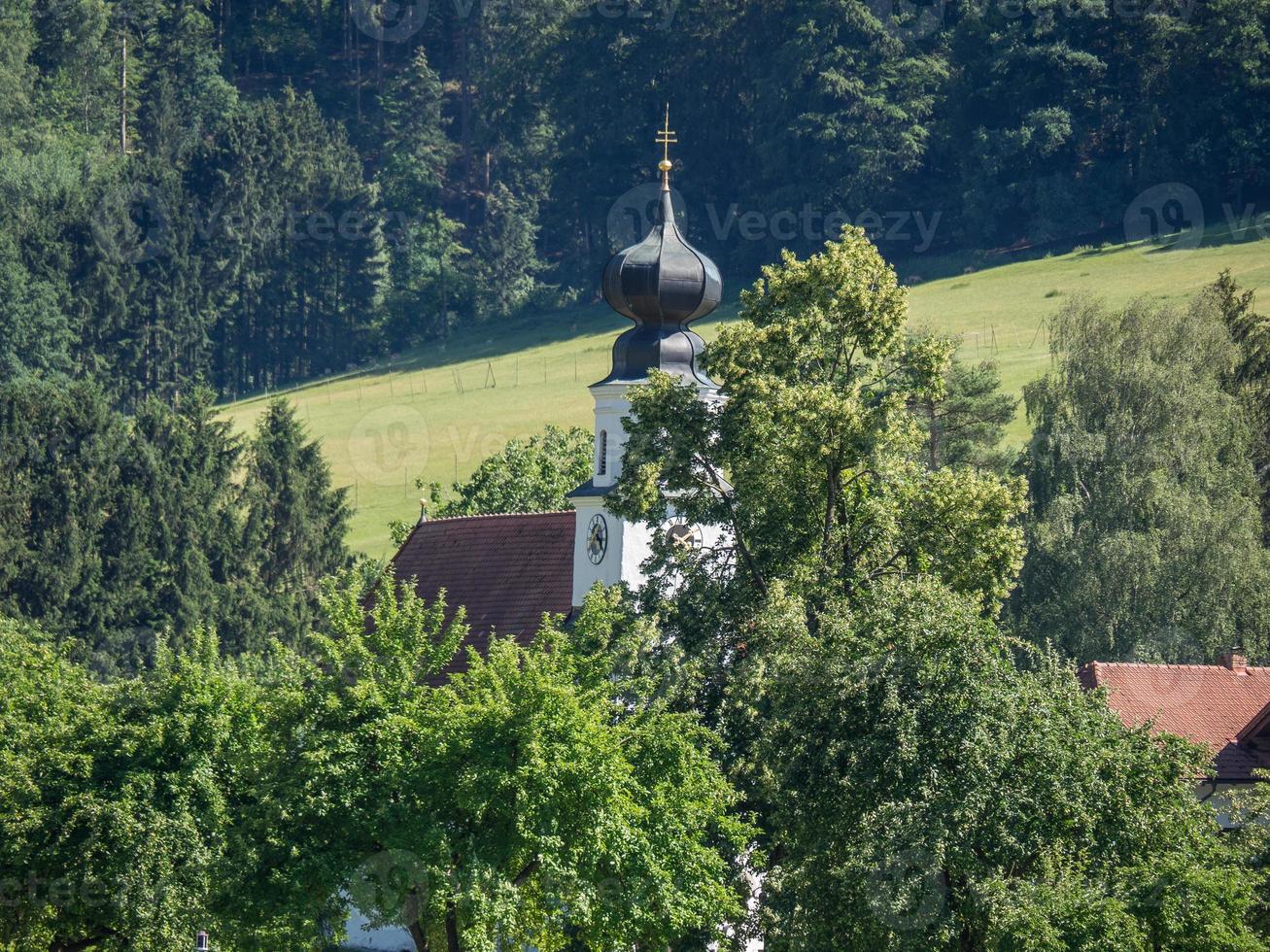 At the Danube river in Austria photo