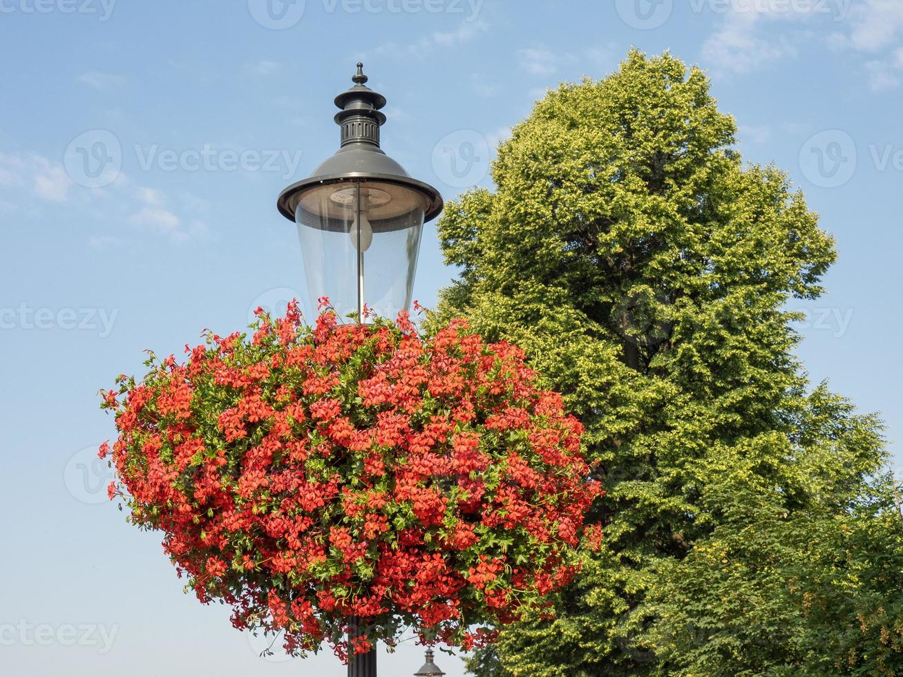 Bratislava city in Slovakia photo