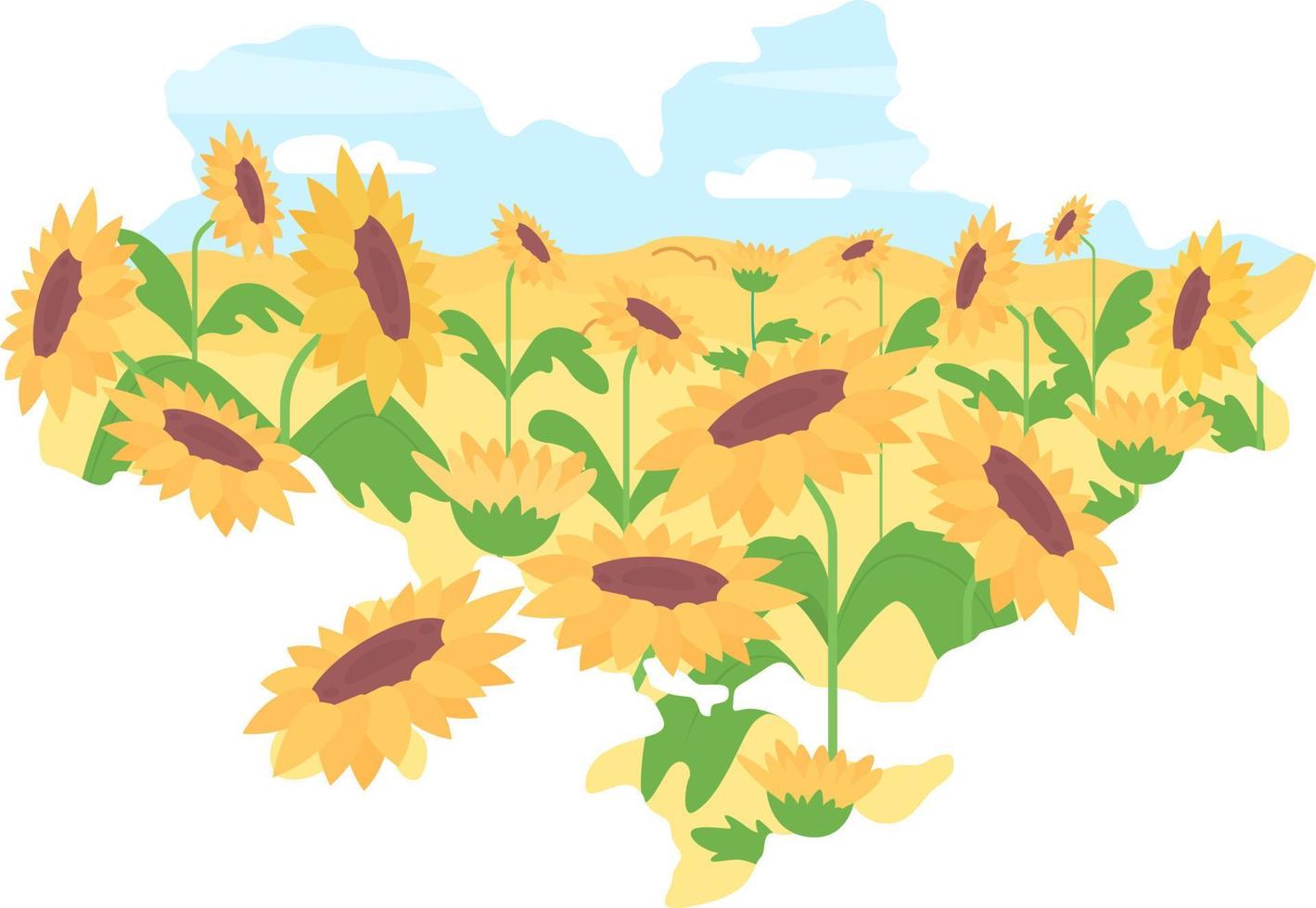 Map of Ukraine and sunflowers 2D vector isolated illustration