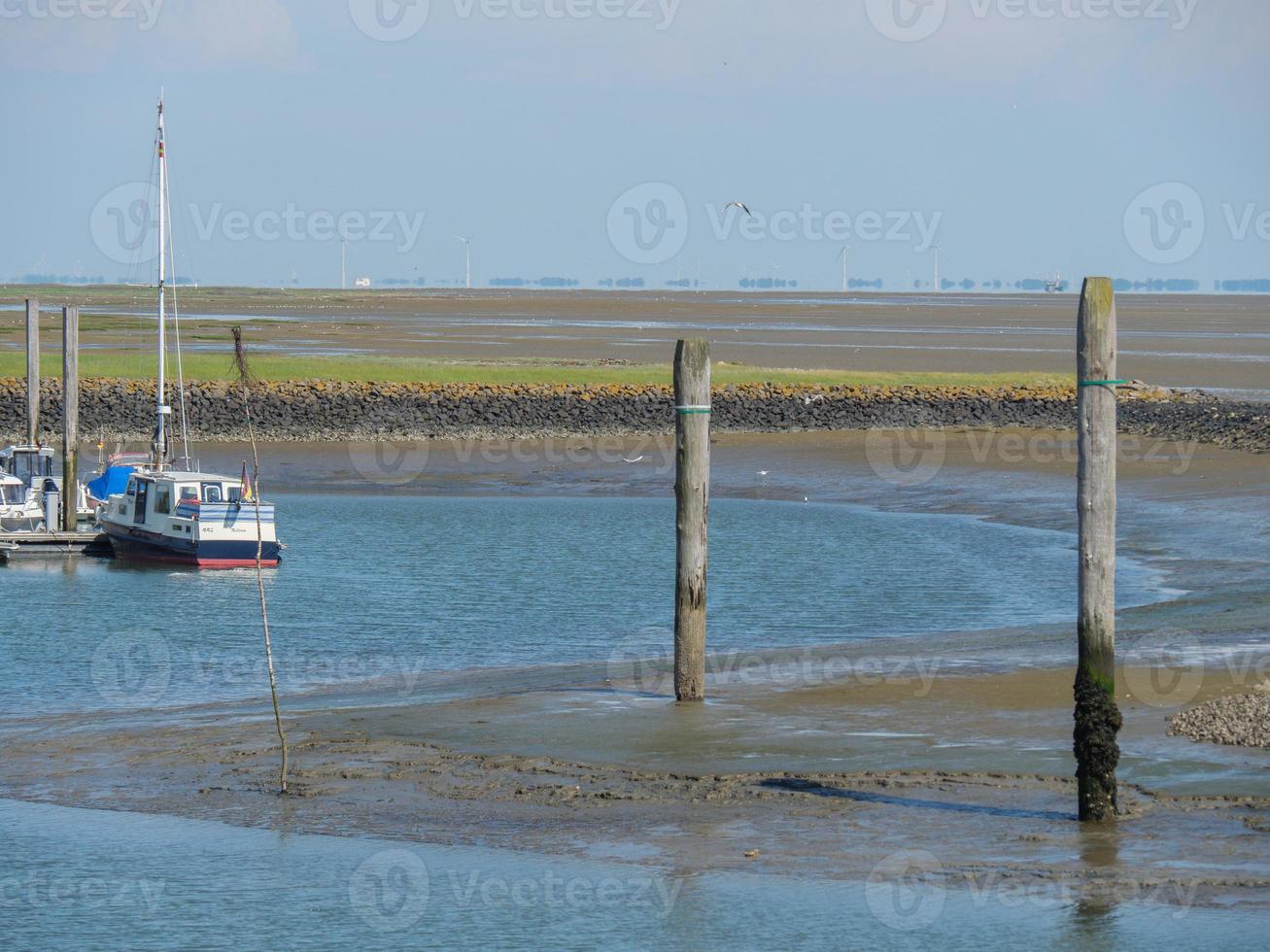 island of Baltrum in the north sea photo