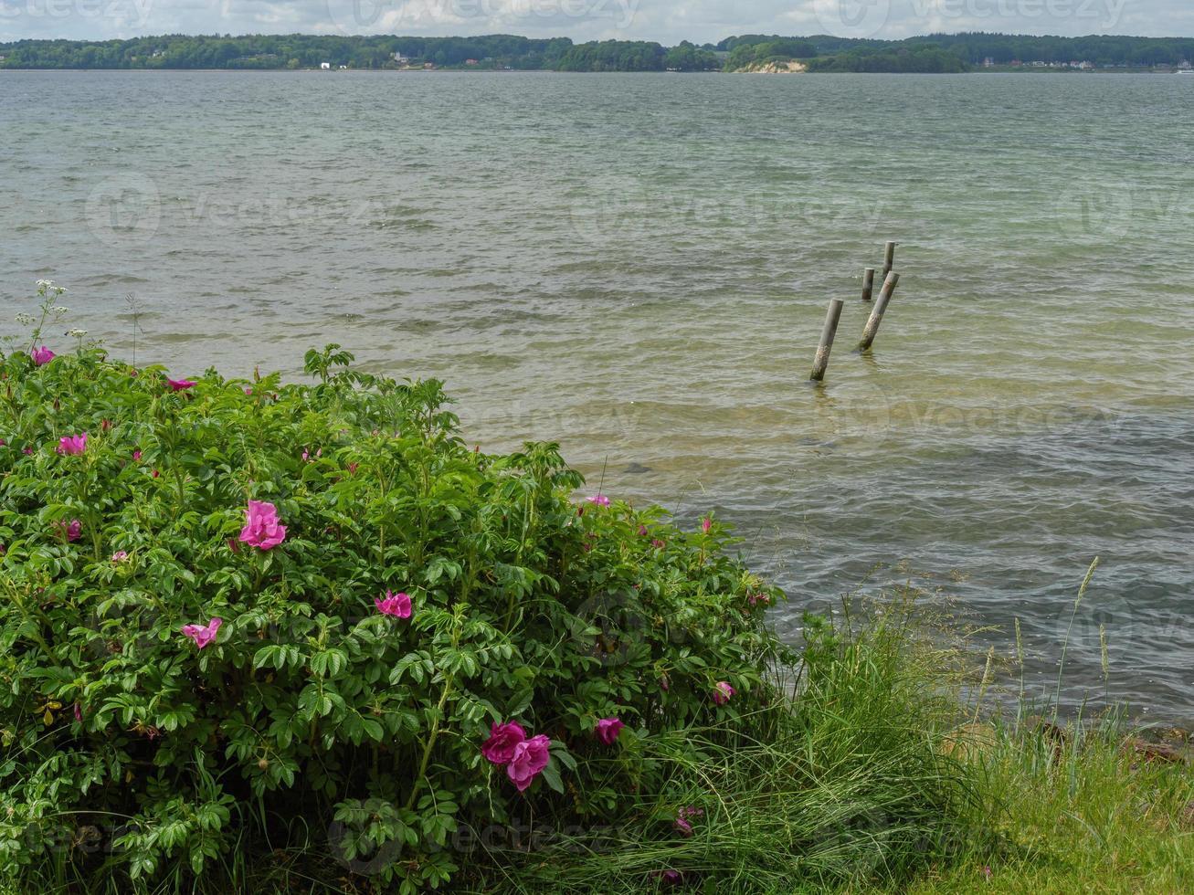 at the baltic sea in germany photo