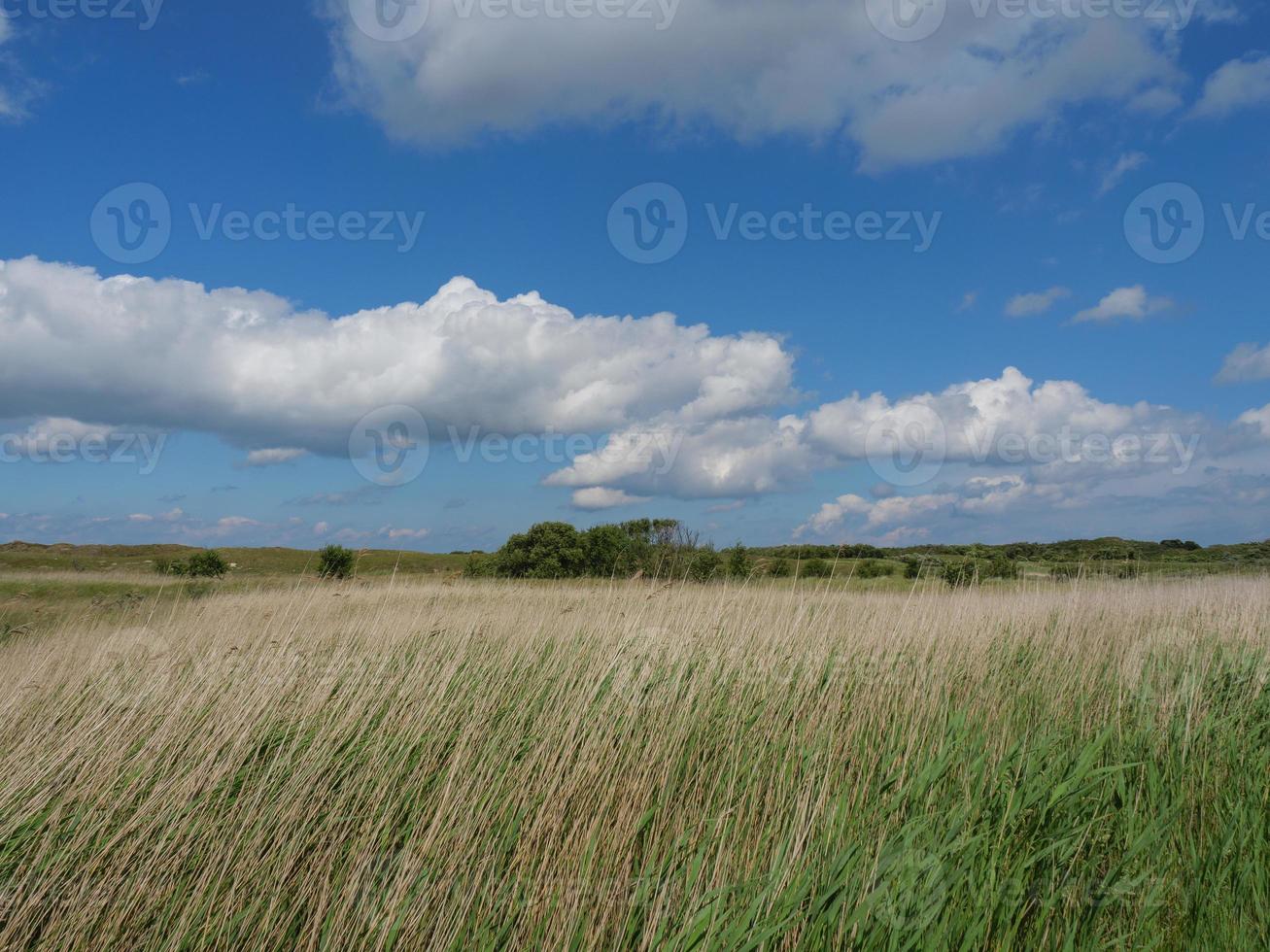 The island of Baltrum in the north sea photo