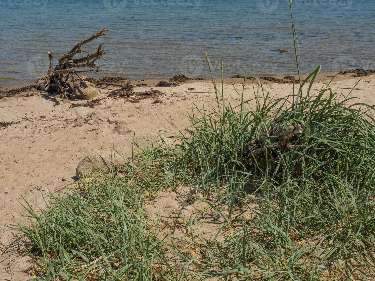 the baltic sea near flensburg in germany photo