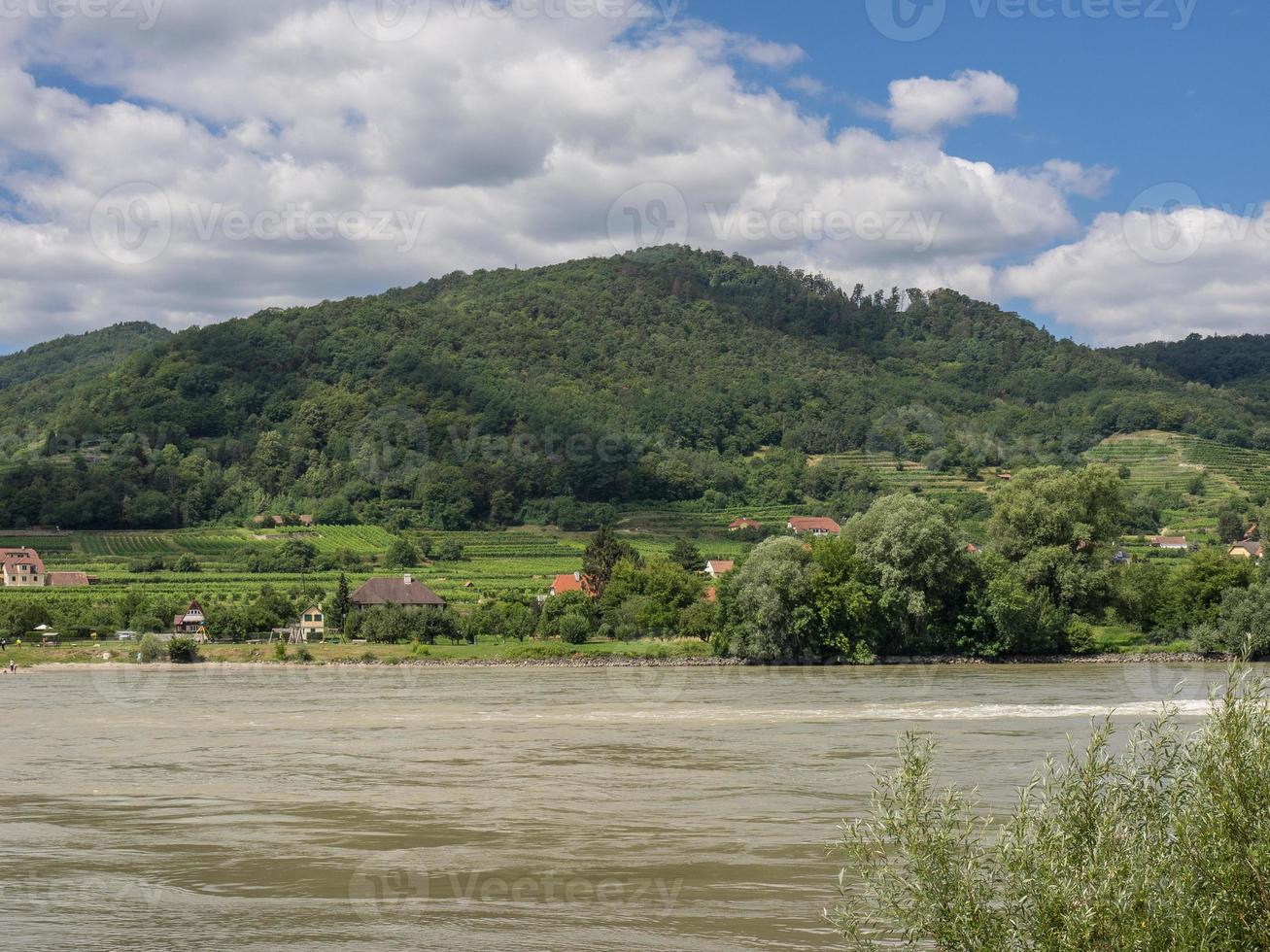 the danube river in the austrian wacha photo