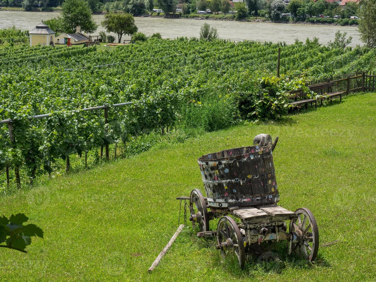 the danube river in austria photo