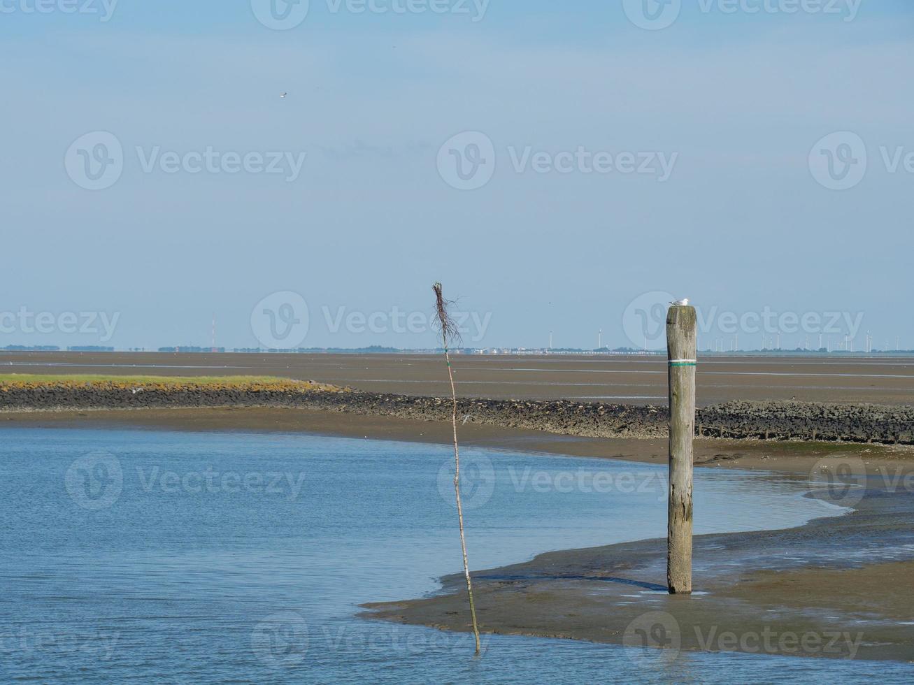 island of Baltrum in the north sea photo