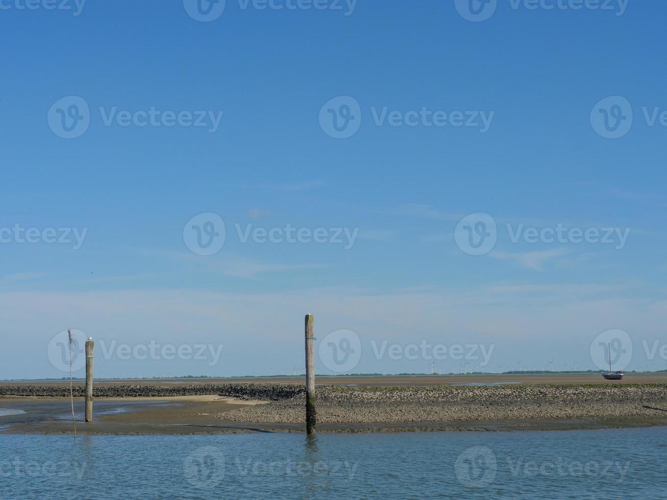 island of Baltrum in the north sea photo