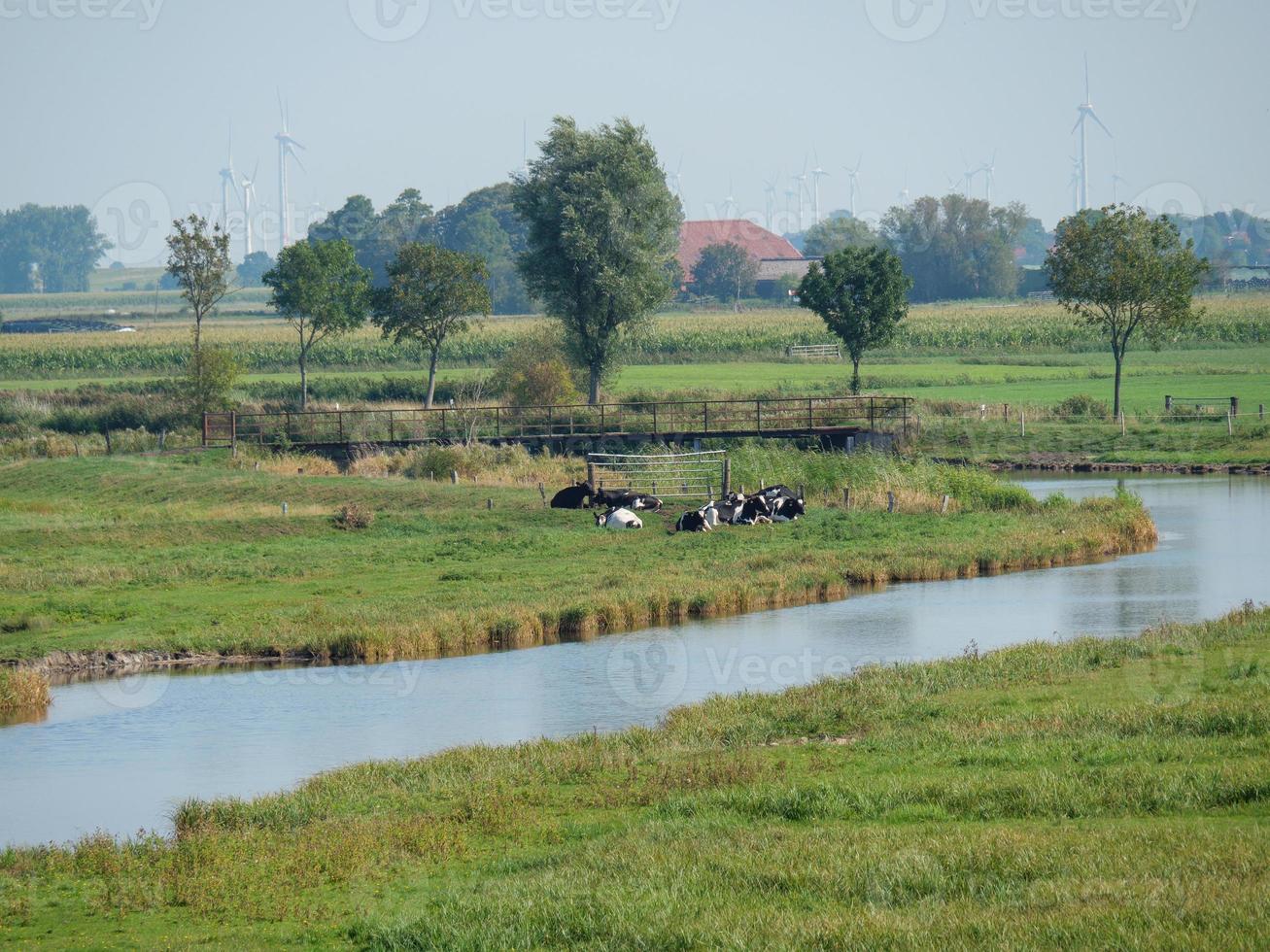 The village of Ditzum at the river Ems photo