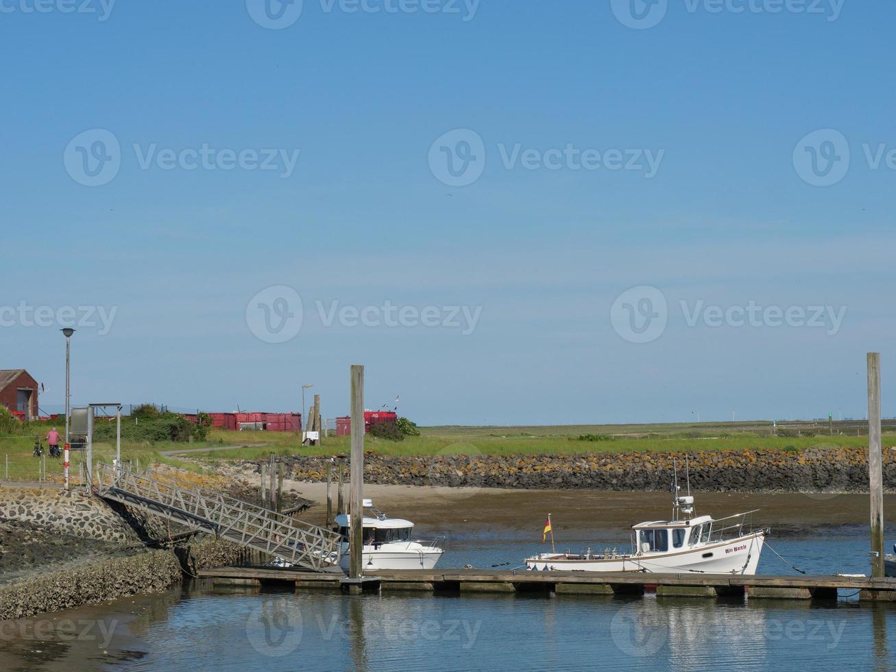 island of Baltrum in the north sea photo