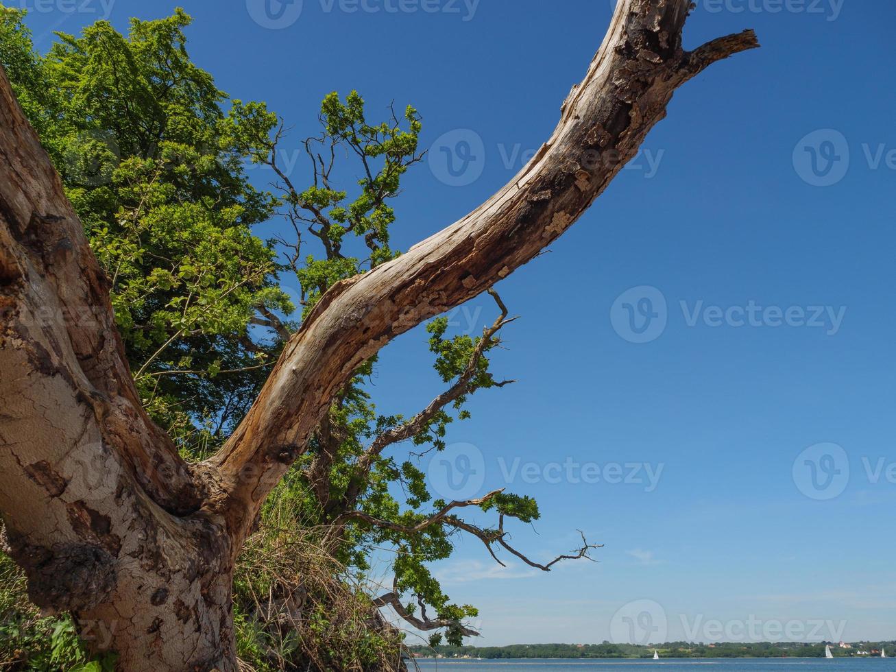 the baltic sea near flensburg in germany photo