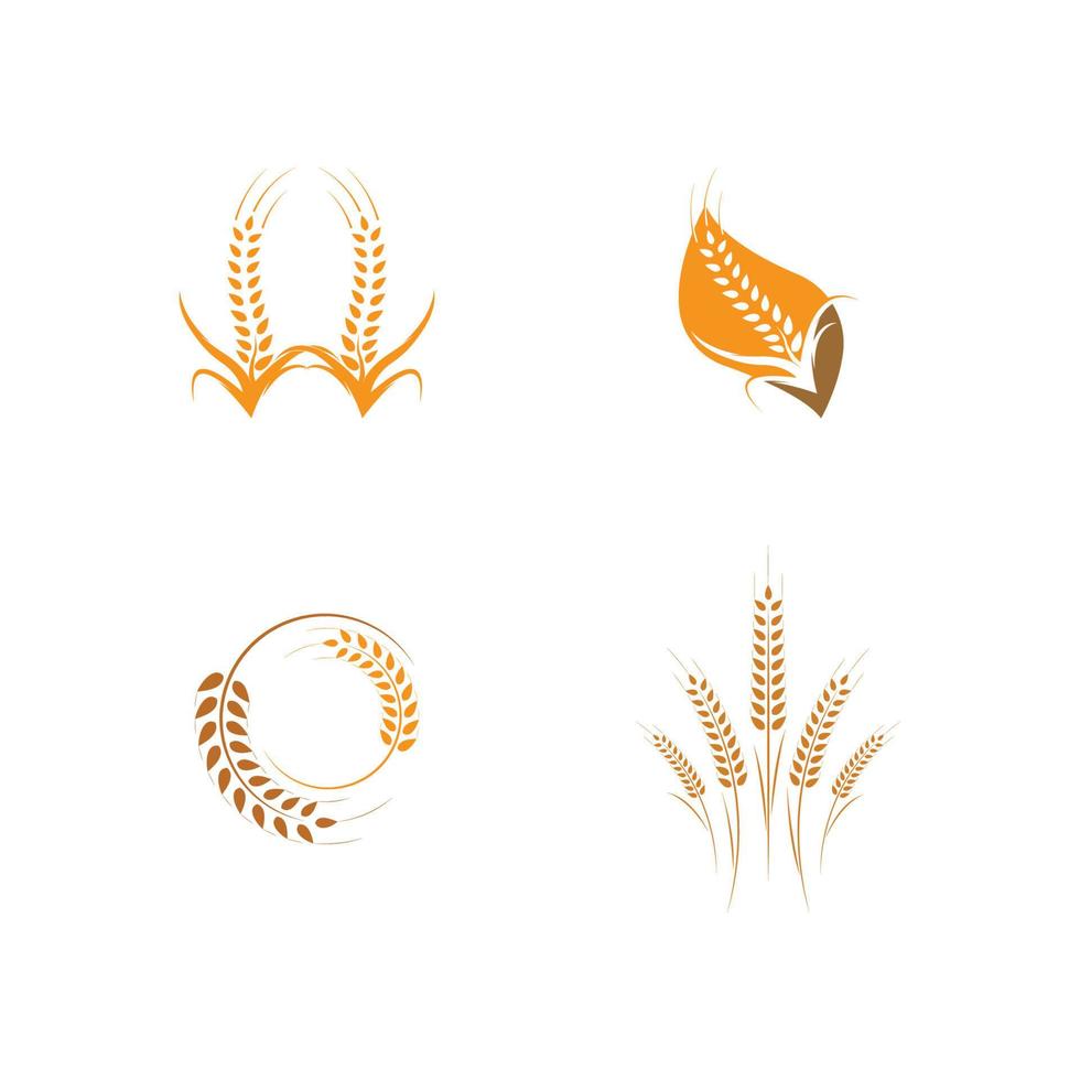 vector de plantilla de logotipo de trigo de agricultura