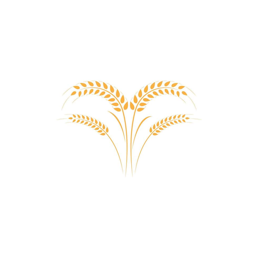 plantilla de logotipo de trigo agrícola vector