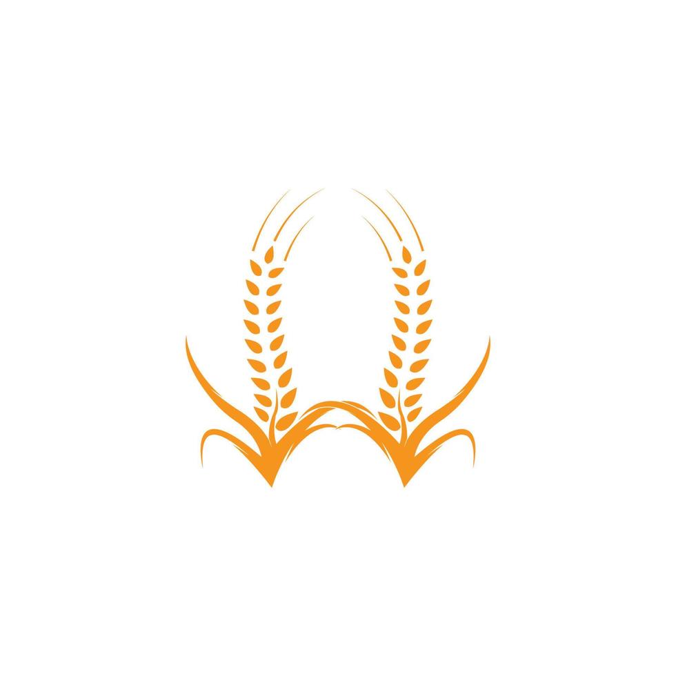 Agriculture wheat Logo Template vector