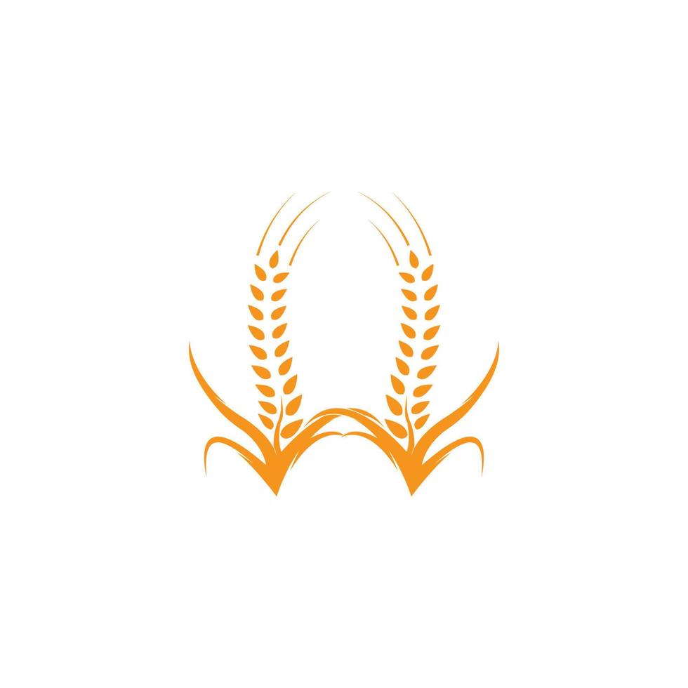 vector de plantilla de logotipo de trigo de agricultura