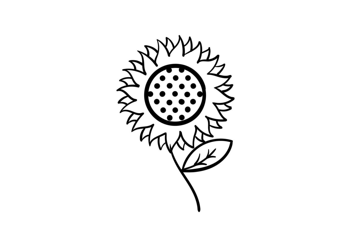 hand drawn sunflower vector