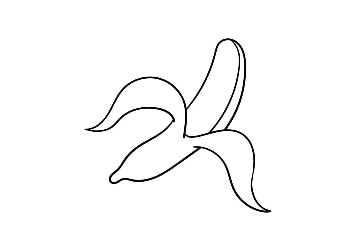 hand drawn illustration of a banana vector