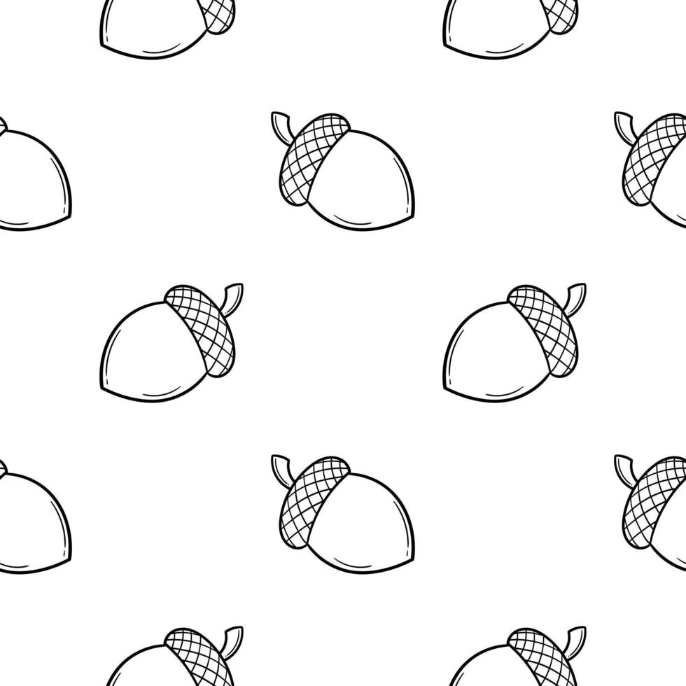 acorn hand drawn seamless pattern vector