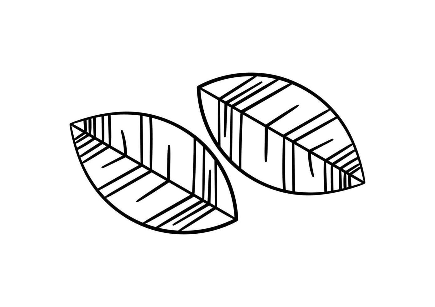 hand drawn leaf with autumn theme 3 vector