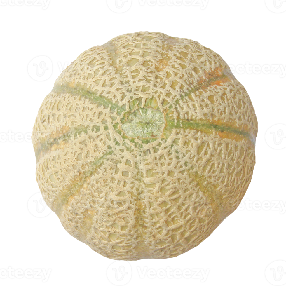 melón fruta transparente png