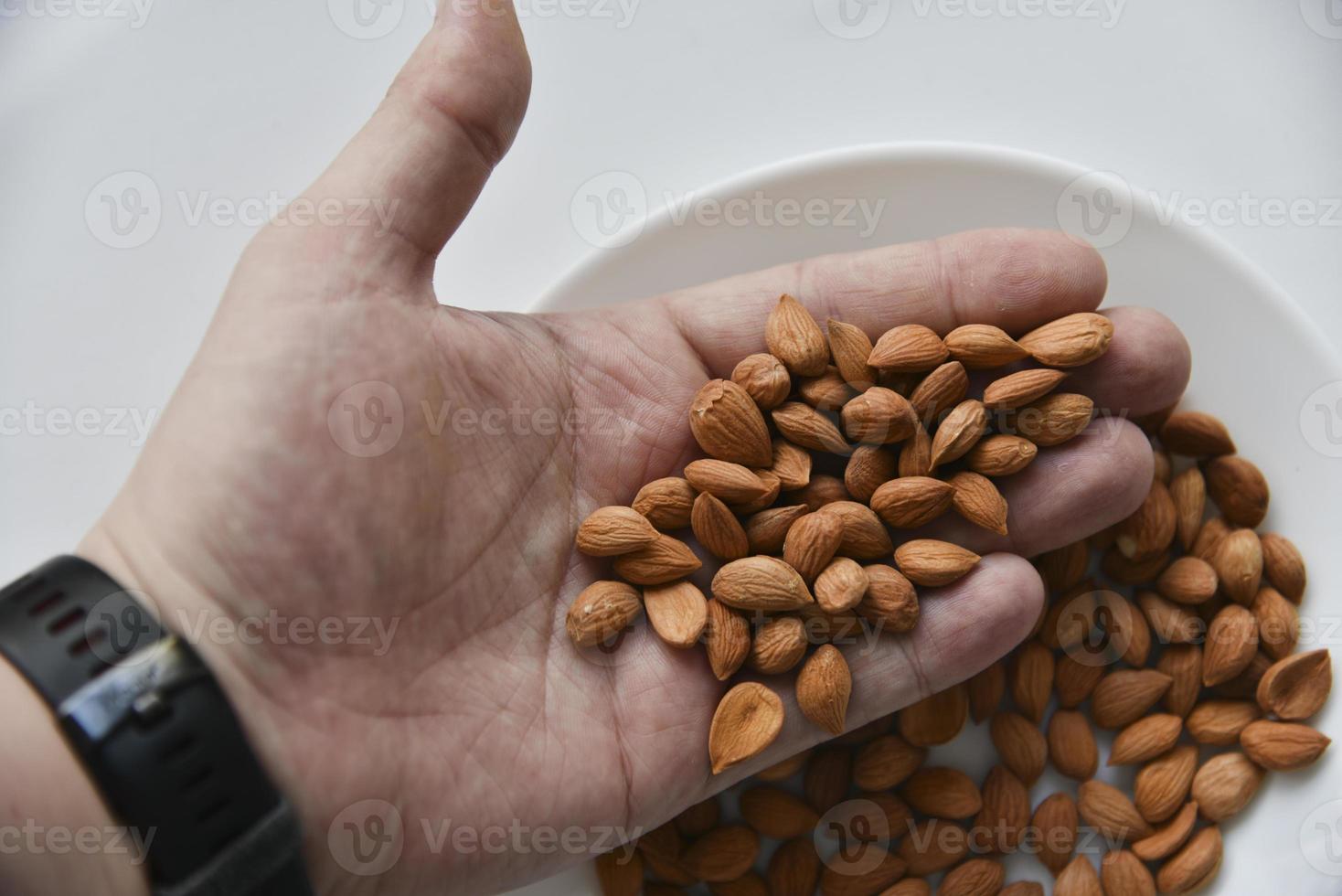 nueces de hueso de albaricoque en un plato blanco foto